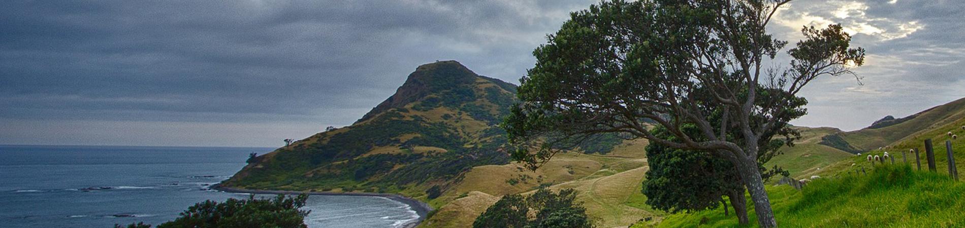 Image for Three amazing places to visit in New Zealand