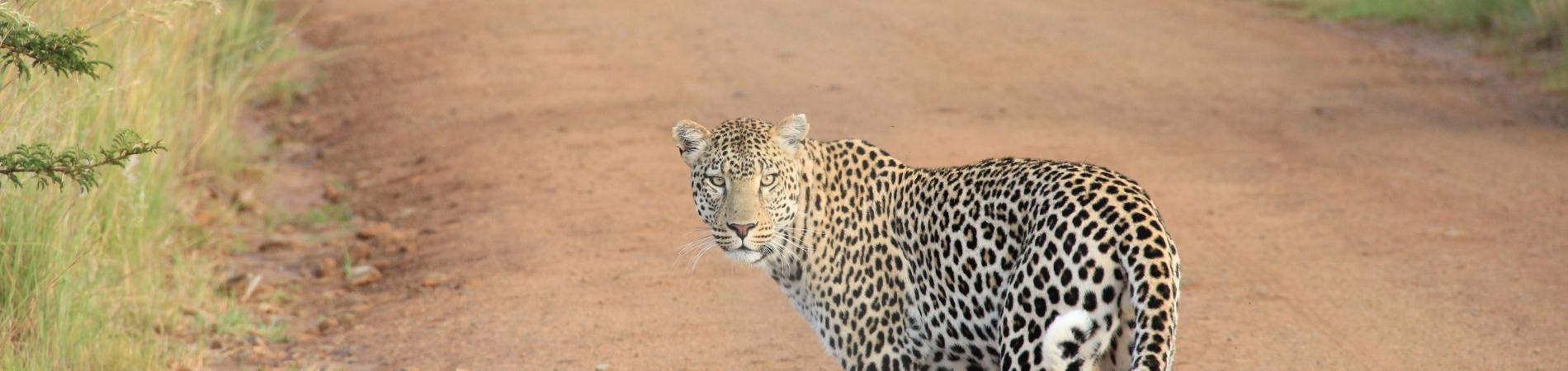 Image for Three awesome adventure holiday ideas