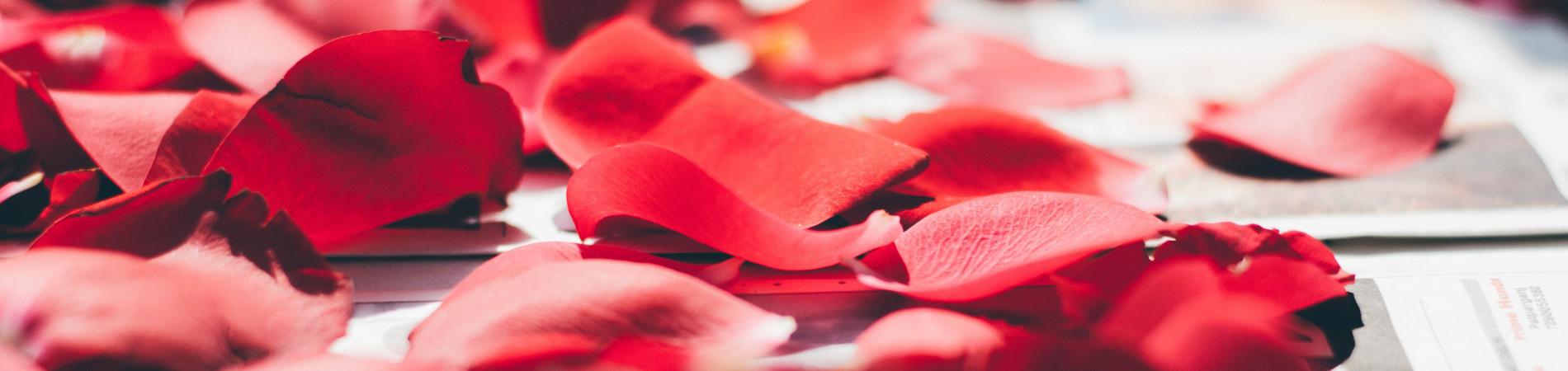 Image for The World’s Most Underrated Cities to Visit for Valentine’s Day