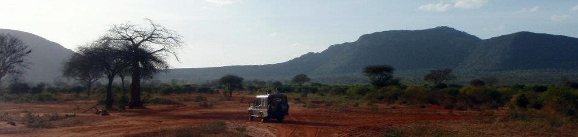 Image for Abi's Kenya Safari