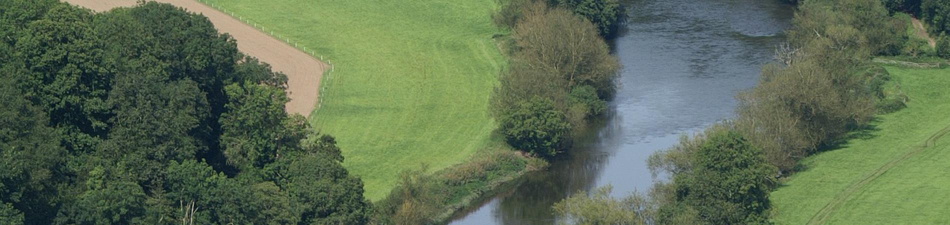 Image for Tom's trip to The Forest of Dean