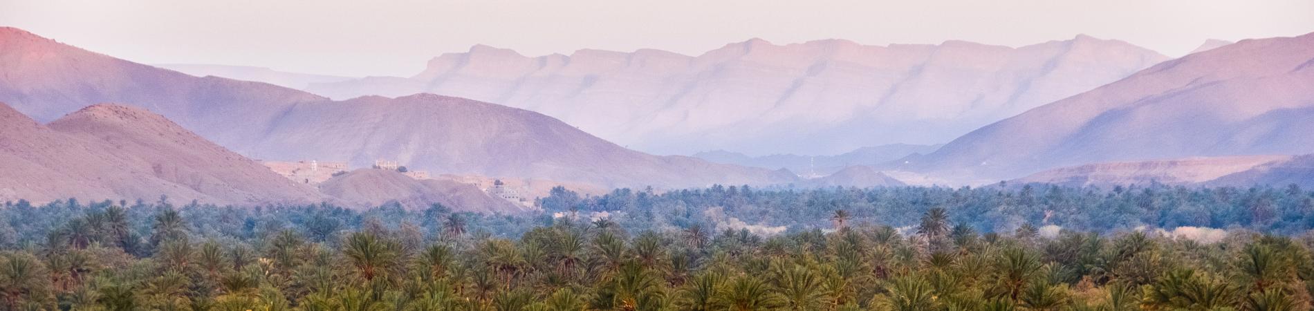 Image for Winter sun in Marrakech
