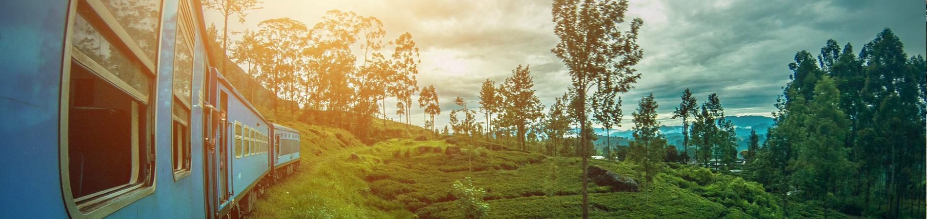 Image for Top Reasons to Visit Sri Lanka