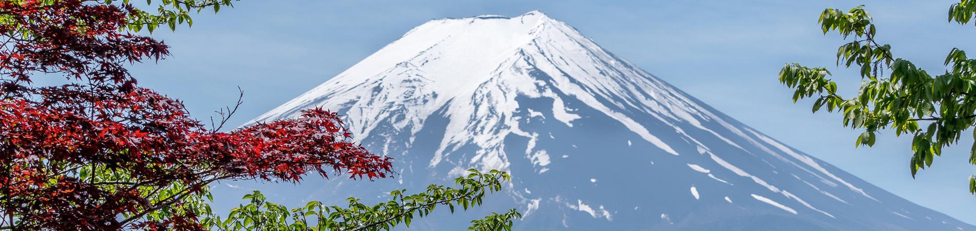 Image for Five Reasons to go to Japan in Winter