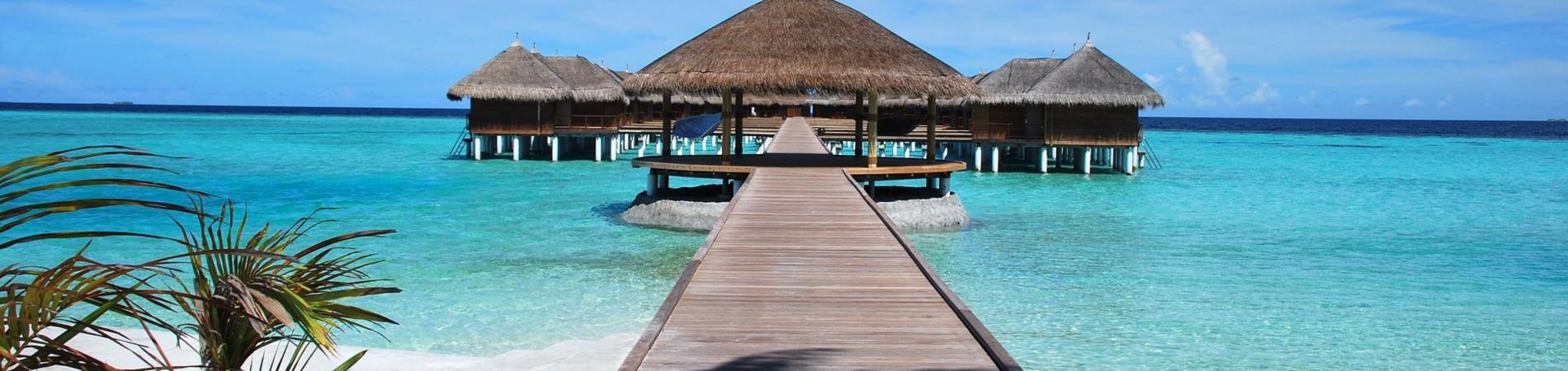 Image for Top Honeymoon Destinations in Asia
