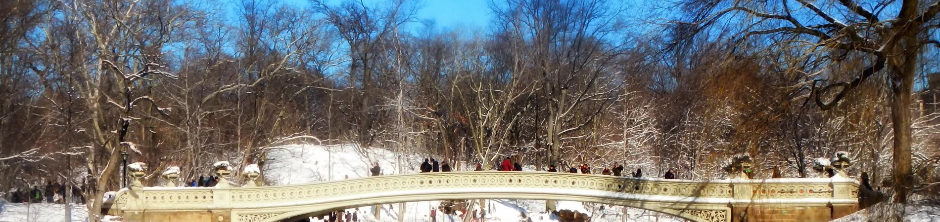 Image for Things to Do in New York at Christmas