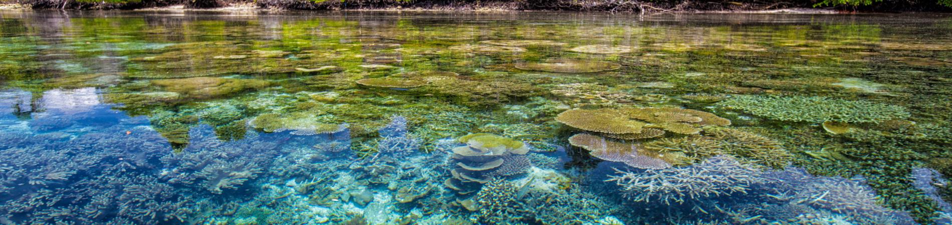 Image for Three places to visit in 2019 