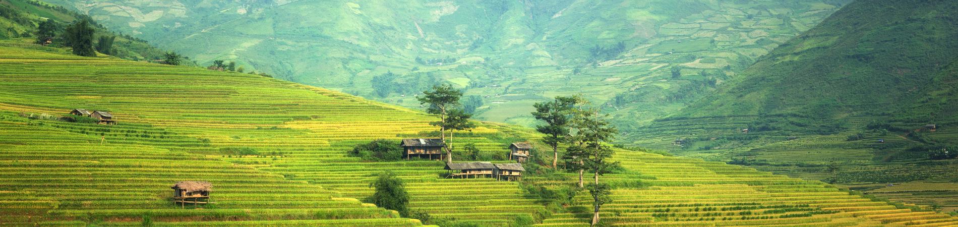 Image for Reasons to visit China in spring