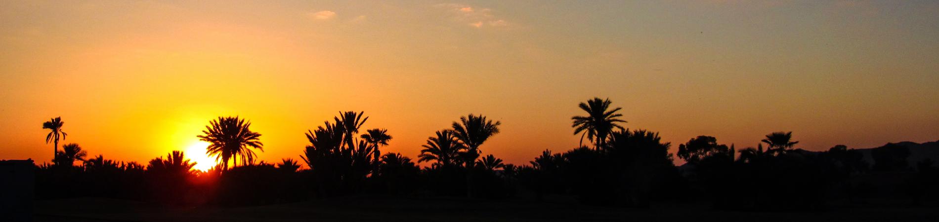 Image for Tips for Exploring the Souks in Marrakech