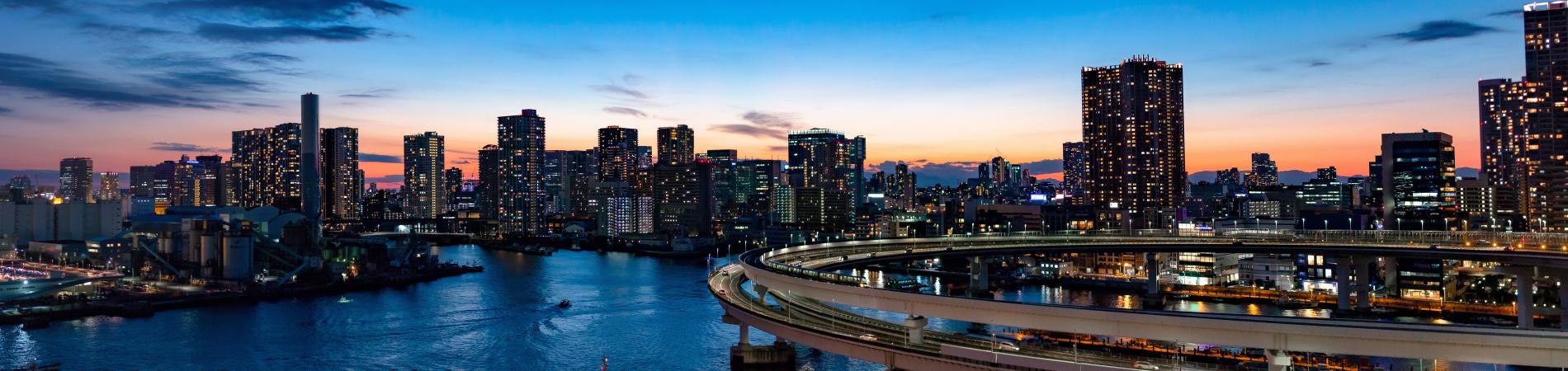 Image for Top things to do in Tokyo