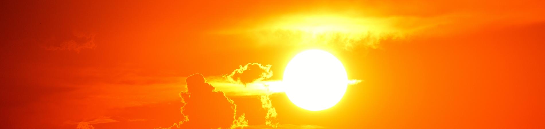 Image for How to stay safe in the sun