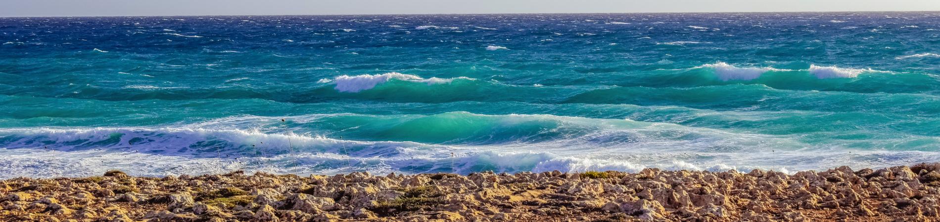 Image for Four things to eat in Cyprus