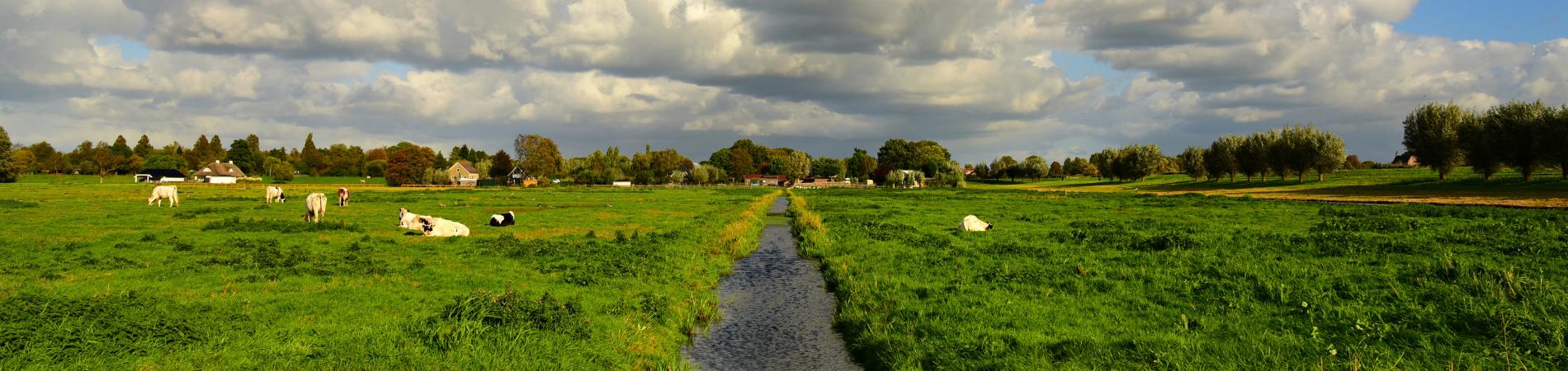Image for Reasons to cycle in the Netherlands