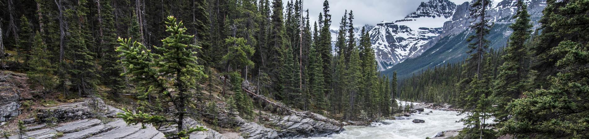 Image for Tips for taking a train across Canada