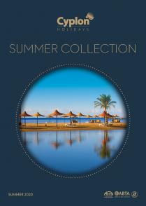 Cover of Summer Sun 2020